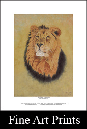Shop Wildlife Fine Art Prints